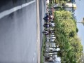 Tn dsc 5911